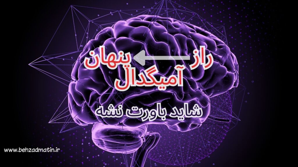 Purple brain illustration on dark purple background highlighting the hidden secret of the amygdala.