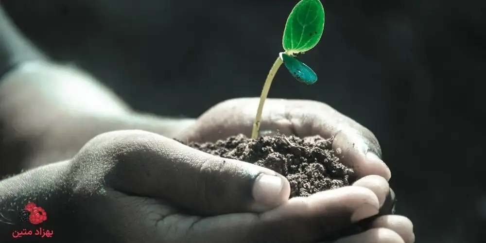 پیش نویس زندگی